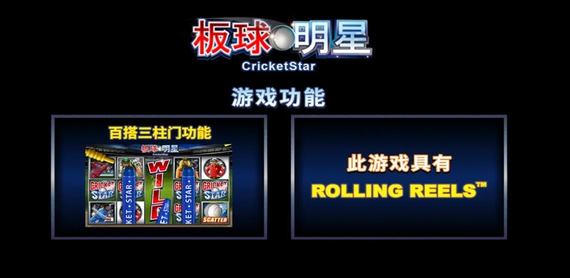 引领板球风潮,《板球明星》带您体验真实赛场的激情! 3 游戏介绍